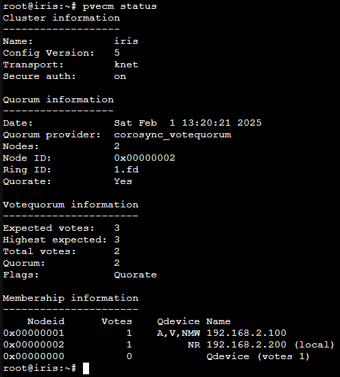 Proxmox Cluster as my Homelab